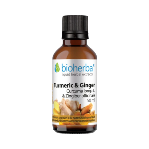 Kurkuma & zázvor kvapky – tinktúra – 50 ml – Bioherba