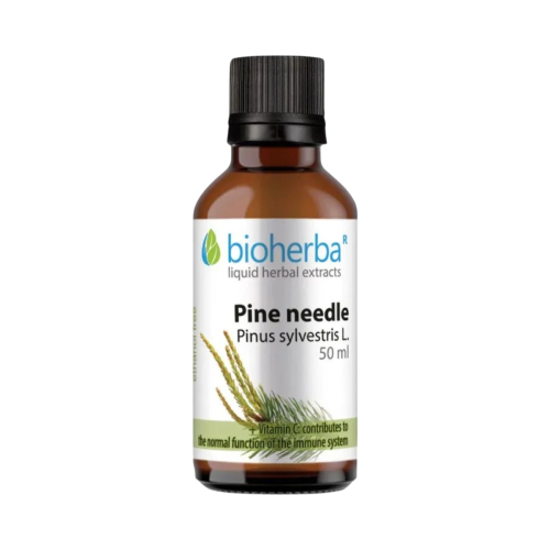 Borovicové výhonky - tinktúra kvapky - 50 ml - Bioherba