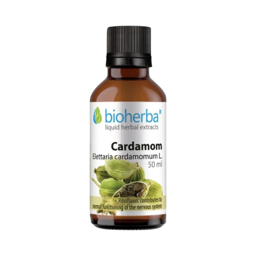Kardamóm - tinktúra kvapky - 50 ml - Bioherba Kardamóm - tinktúra kvapky - 50 ml - Bioherba