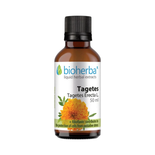 Aksamietnica kvapky – tinktúra – 50 ml – Bioherba