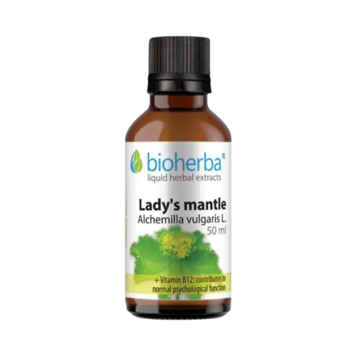 Alchemilka - tinktúra kvapky - 50 ml - Bioherba