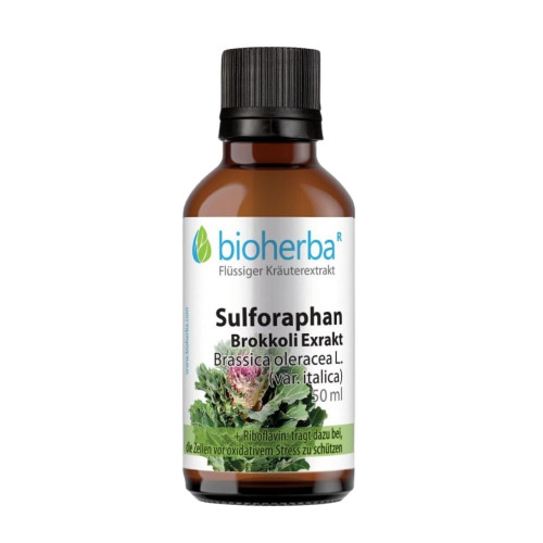 Sulforafán (brokolica extrakt) - tinktúra kvapky - 100 ml - Bioherba