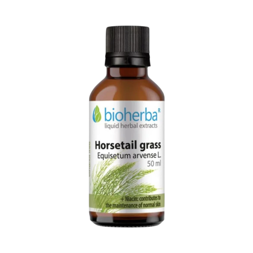 Praslička (Horsetail) kvapky – tinktúra – 50 ml – Bioherba
