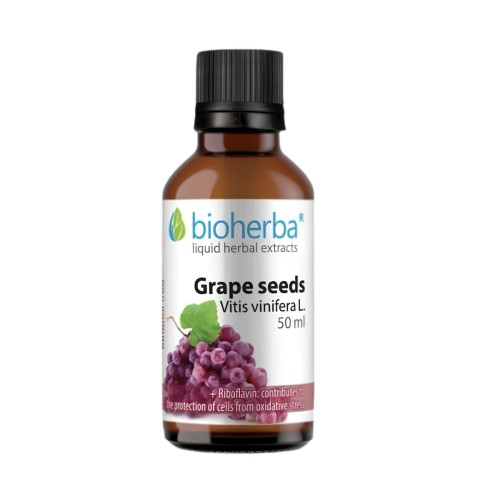 Hroznové jadierka - tinktúra kvapky - 50 ml - Bioherba Hroznové jadierka - tinktúra kvapky - 50 ml - Bioherba
