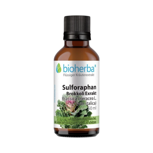 Sulforafán (brokolica extrakt) - tinktúra kvapky - 100 ml - Bioherba