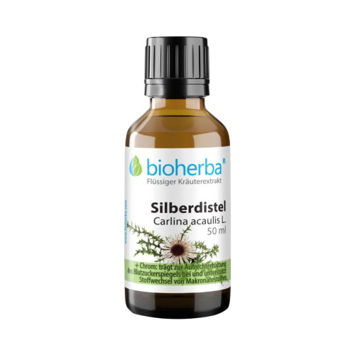 Krasovlas bezbyľový - tinktúra kvapky - 50 ml - Bioherba Krasovlas bezbyľový - tinktúra kvapky - 50 ml - Bioherba