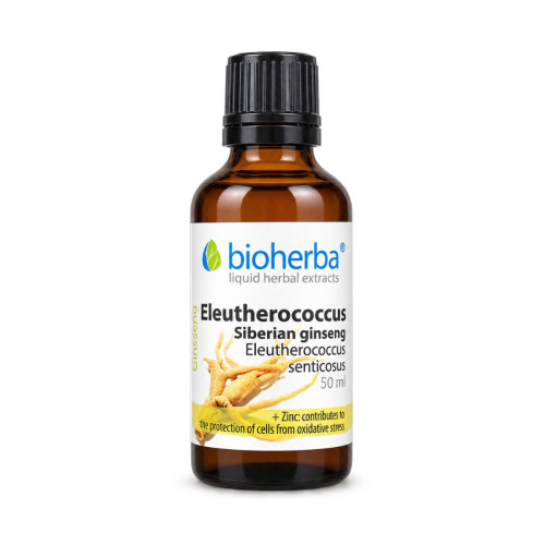 Sibírsky ženšen kvapky – tinktúra – 100 ml – Bioherba