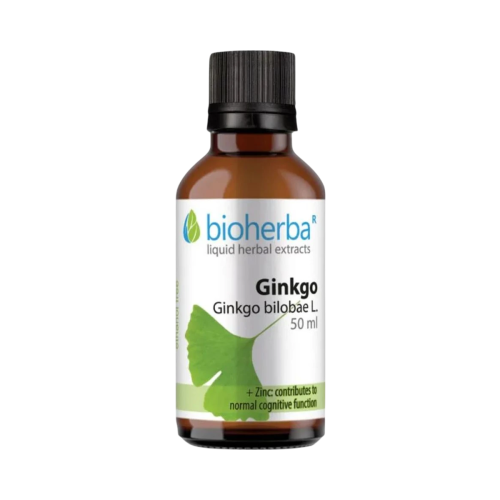 Ginkgo biloba kvapky – tinktúra – 50 ml – Bioherba