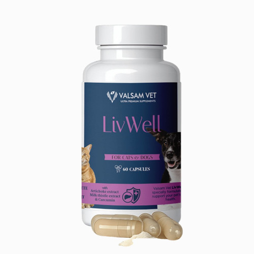 LIVWELL - podpora pečene a metabolizmu pre psy a mačky 60 kapsúl - Valsam Vet