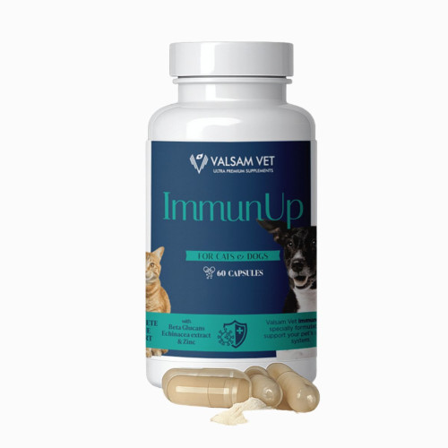 IMMUNUP - podpora imunity pre psy a mačky 60 kapsúl - Valsam Vet