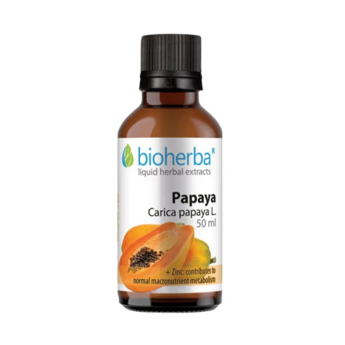 Papája - tinktúra kvapky - 50 ml - Bioherba Papája - tinktúra kvapky - 50 ml - Bioherba