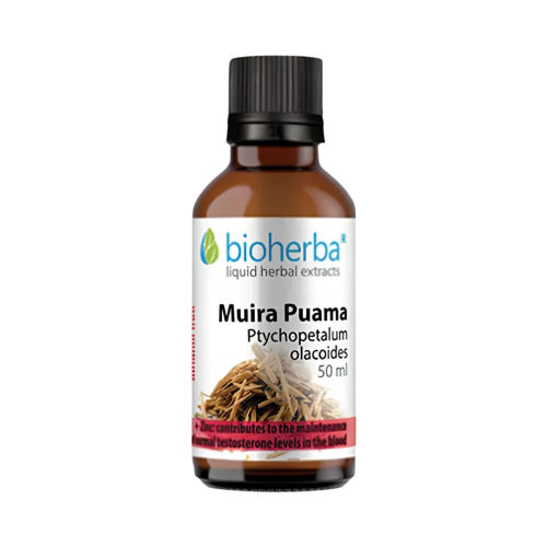 Muira Puama (Ptychopetalum olacoides) kvapky – tinktúra – 50 ml – Bioherba