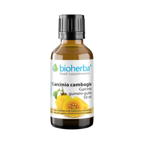 Garcinia Cambogia - tinktúra kvapky - 100 ml - Bioherba
