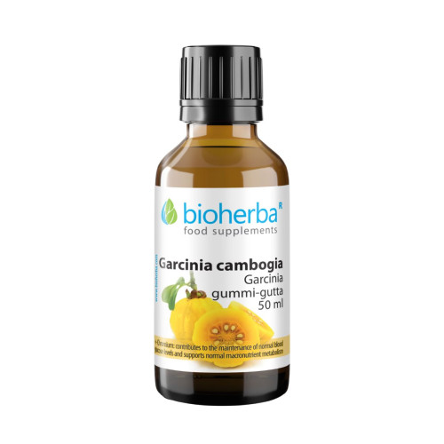 Garcinia Cambogia - tinktúra kvapky - 100 ml - Bioherba